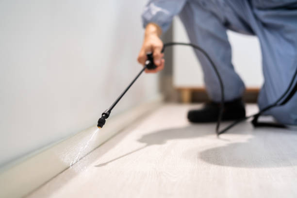 Bed Bug Pre-Treatment Preparation Assessment in Cold Spring