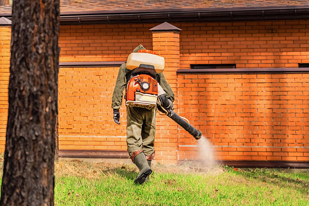 Bed Bug Clearance Verification and Documentation in Cold Spring